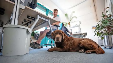 Indra ist eine tierisch gute Kollegin